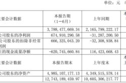 电流中的机遇锂电池巨头的财经征途