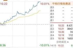 新能源汽车财务分析图表