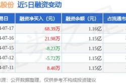 陕西兴化股份公司财经视角下的行业巨擘