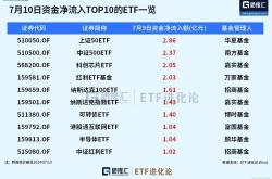 资金榜视角下的中证基金净流入分析以居可比基金首位为例