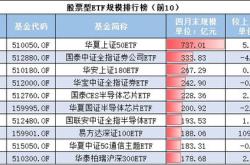 主力榜中证基金主力资金净流出万元，居全市场第一梯队