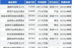 国泰军工基金501019