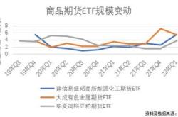 主力榜恒生科技主力资金净流入亿元，居可比基金前