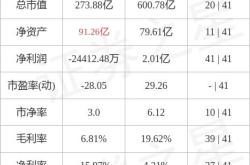 孚能科技主力资金净卖出分析报告