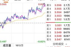 首批沙特上市首日表现强劲，午后双双涨停