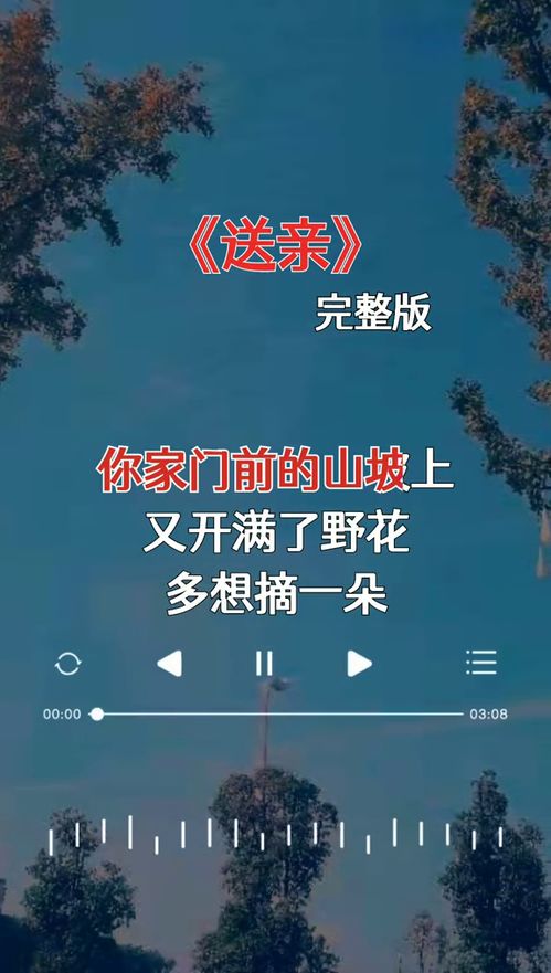 我们的歌第二期歌单，音乐的魅力与情感的共鸣