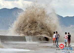 台风逼近掀巨浪——一场自然界的震撼秀