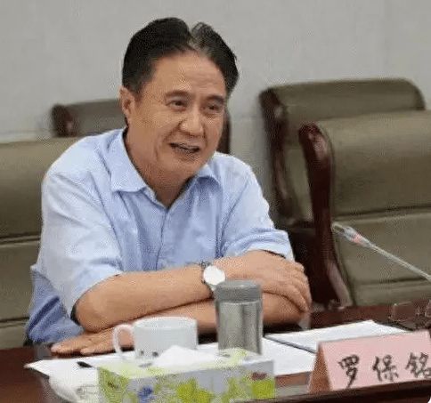 正部级官员罗保铭主动投案的背后