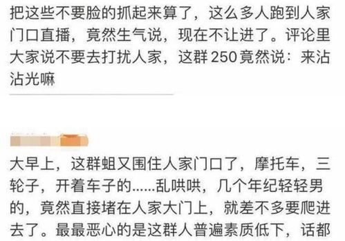 全红婵与迪士尼门口卖假货的，表象背后的误解与探讨