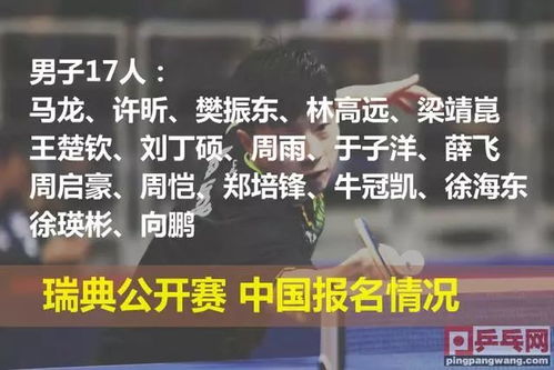 张本智和，接受现实之路漫漫