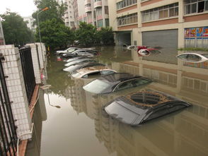 实拍广州暴雨水浸街，城市内涝的警示与思考