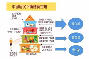 单一供应商供应33所学校营养餐，食品安全与集中化供应新模式探讨