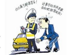 游客吐槽露营遭村民油锯恐吓收费，揭示旅游乱象与法治呼声