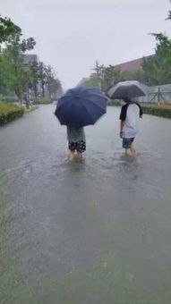 郑州暴雨下的看海模式，城市与自然共舞的挑战