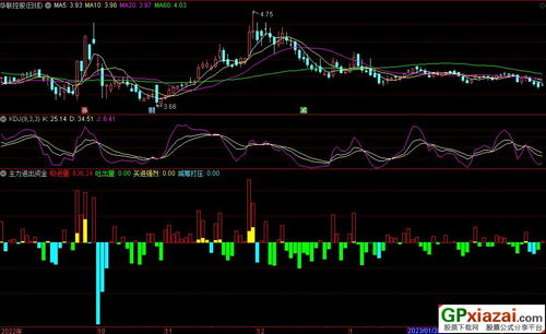 主力进出指标，揭示市场趋势的神秘密码