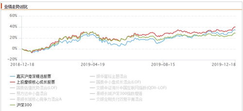 嘉实沪深300指数基金，中国经济的晴雨表与投资指南