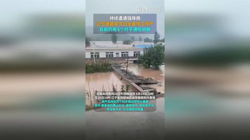 辽宁葫芦岛建昌全县停工停产背后的挑战与对策