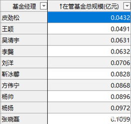 深度解析，基金经理排名，价值、策略与市场的镜子