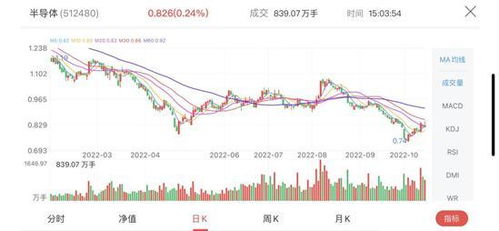 深度解析博盈投资股票，稳健策略与未来潜力