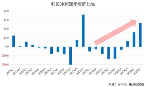 NST股票，深度解析与投资策略指南