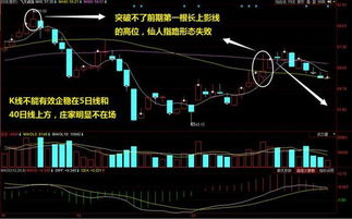 股市仙人指路，智慧与风险的交织