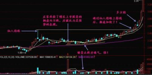 股市仙人指路，智慧与风险的交织