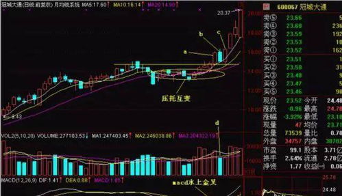 深度解析，零一零零——探秘股市巨轮中的000100股