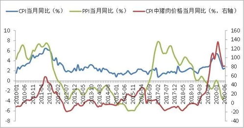 深度解析，东华科技股票的投资价值与前景展望