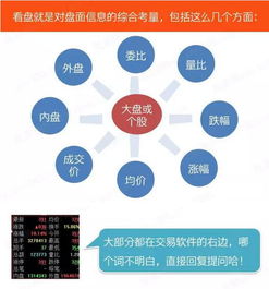 深度解析，国中水务股吧，行业趋势与投资策略探析