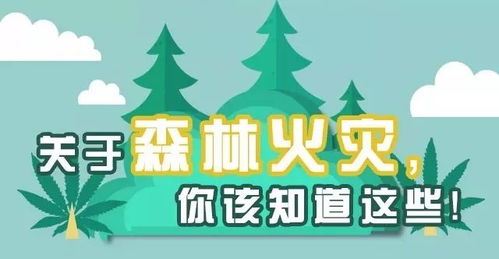 天广消防，守护安全的坚韧力量——深度解析002509的行业地位与未来发展