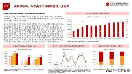 深度解析，黑五类股票的投资策略与市场机遇