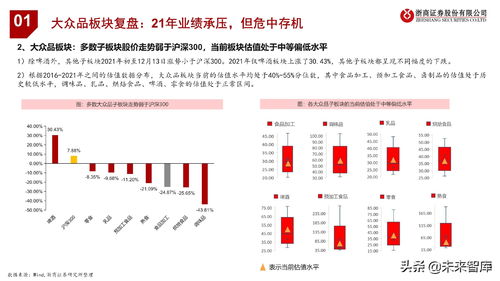 深度解析，黑五类股票的投资策略与市场机遇