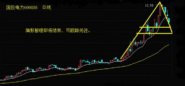 深度解析，股票000877——挖掘价值与机遇的旅程