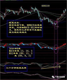 深度解析，维科精华股价波动的背后，市场趋势与公司实力的交织