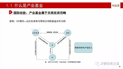 深度解析与投资指南，全面解读270021基金——追逐财富的稳健选择