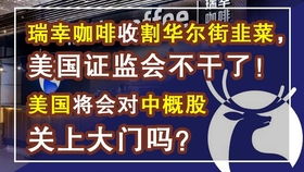 A股IPO暂停，市场调整与监管新思路的交织时刻