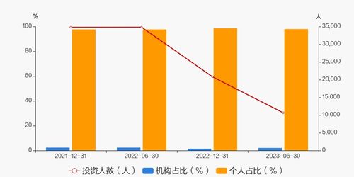 深入解析，嘉实稳健净值的稳健之道，长期投资的价值洞察