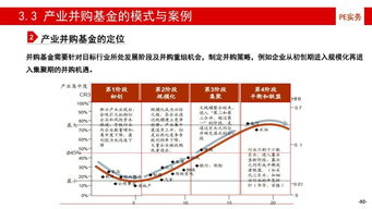 华夏行业精选基金，深度解析与净值走势探析