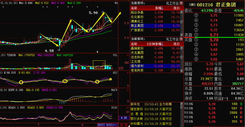 深度解析，君正集团股票的投资价值与前景展望