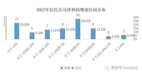 华资实业重组，转型与挑战的深度剖析