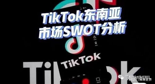 TikTok在东南亚碰到硬茬了