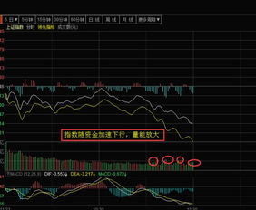 探寻N开头的股票投资策略，挖掘未来市场蓝筹与潜力股