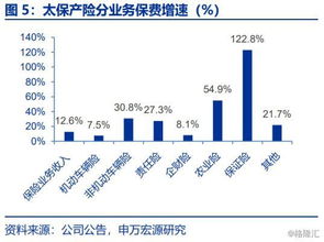 探析友邦盛世基金净值，稳健投资的智慧之源