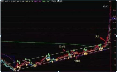 探讨股票涨停后是否仍应买入，理性分析与策略选择