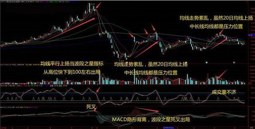 探讨股票涨停后是否仍应买入，理性分析与策略选择