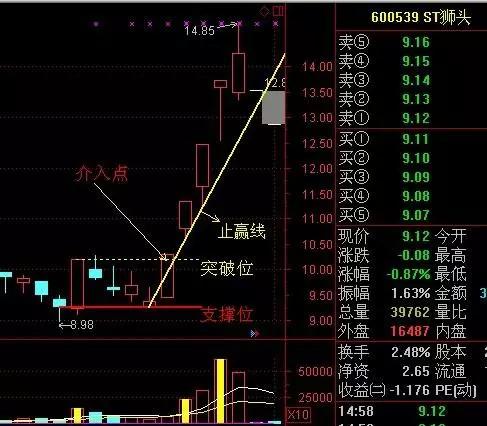 探讨股票涨停后是否仍应买入，理性分析与策略选择