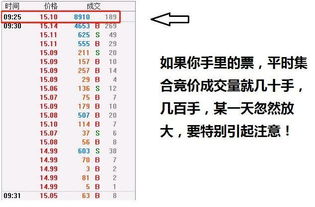 深度解析，均笔成交量指标在金融交易中的重要性与应用策略