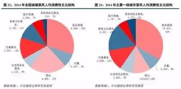 城镇化进程中的深度解析，概念、挑战与未来展望