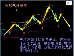 深度解析，头盔股票投资攻略与热门选项