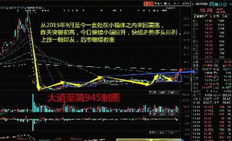 深度解析，头盔股票投资攻略与热门选项